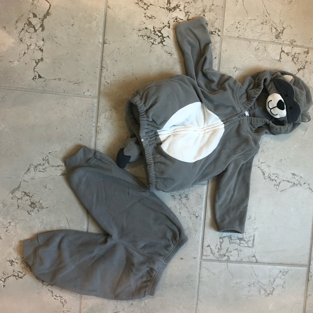 Baby Raccoon Costume